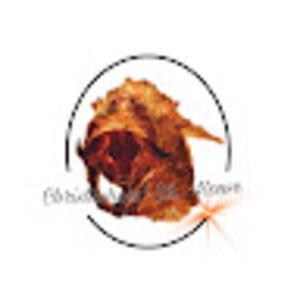 Meet your Posher, Christopher's